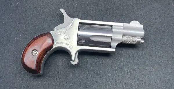 NORTH AMERICAN ARMS NAA-22LR 1" 22LR STAINLESS #04531-07