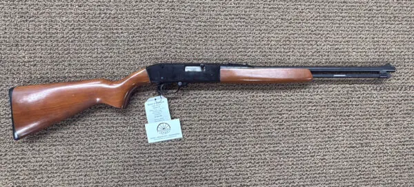 SEARS MODEL 3T 21" 22 S, L & LR #04548-07