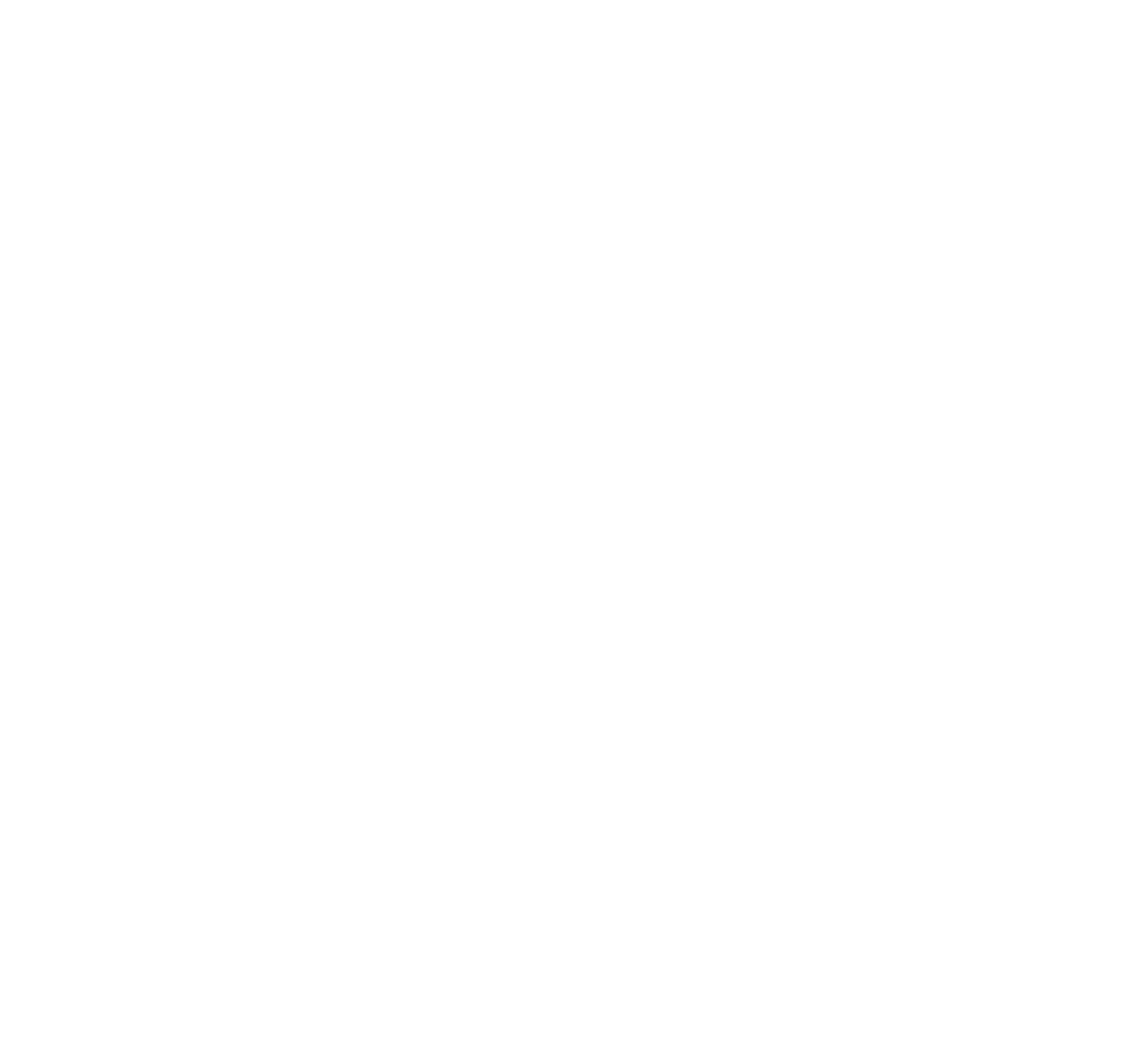 Pioneer Arms LLC