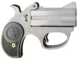 Bond Arms BASRS Stinger  22 LR 2rd, 3" Double Rough Matte Stainless Steel Barrel & Frame, Black Nylon Grip,