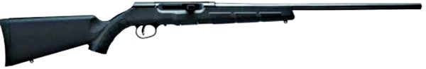 SAV A17 17HMR 22" 10RD