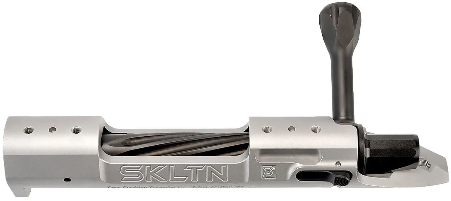 P2 IN-00286 SKLTN SKLTN SA RH MAGNUM TI
