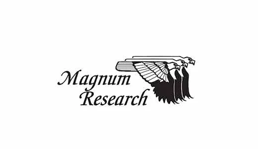 Magnum Research Desert Eagle Mark XIX L6 .50 Action Express pistol black frame green slide