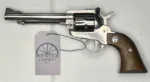 RUGER NEW MODEL SINGLE SIX 5.5" .22 STAINLESS STEEL #01-05423